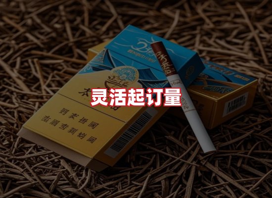 专业团队